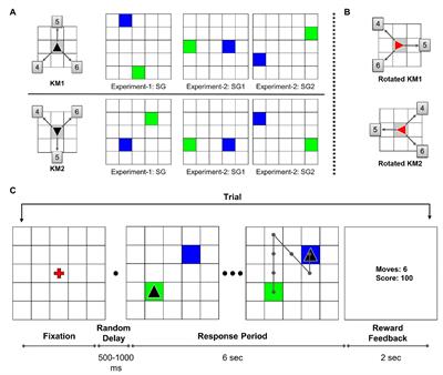 Cognitive and Motor Learning in Internally-Guided Motor Skills